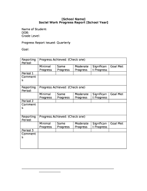 Social Work Report Sample PDF  Form