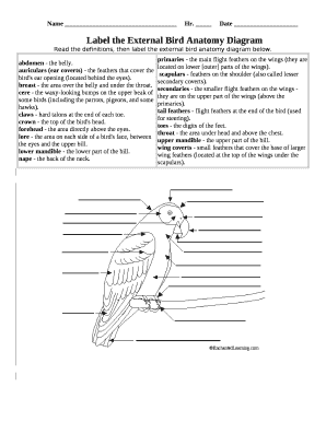 Label the External Bird Anatomy Diagram  Form