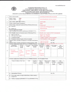 Composite Declaration Form 11 Word Format