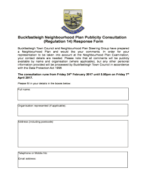 Buckfastleigh Neighbourhood Plan Publicity Consultation  Form