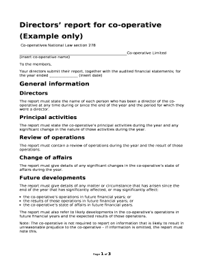 Board Report Template Word  Form
