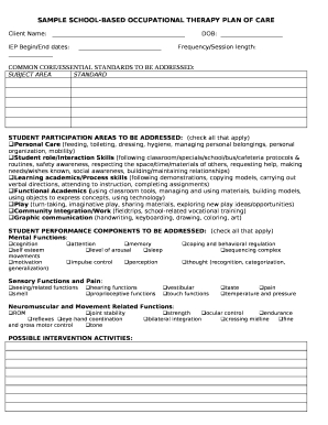 Occupational Therapy Plan of Care Example  Form