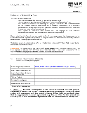 Statement of Undertaking  Form