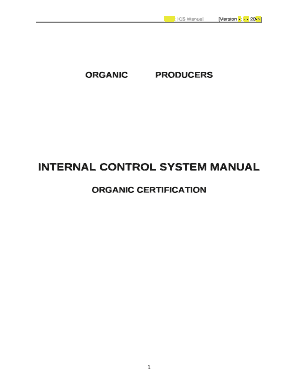 Internal Control Systems PDF  Form