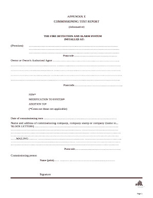 Commissioning Report Format in Word