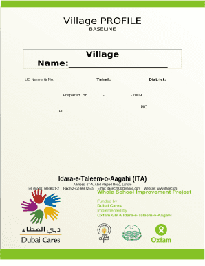 Village Profile Format