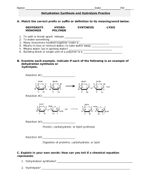 Dehydration Synthesis and Hydrolysis Practice Worksheet  Form