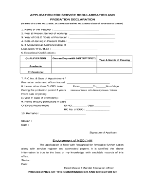 Application for Regularization of Service  Form