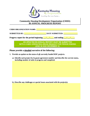 Bi Annual Report Template  Form