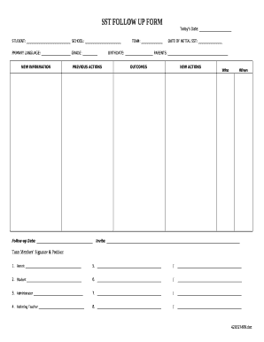 Sst Meeting Template  Form