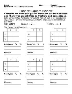 Worksheet Punnett Square ReviewMr  Form