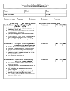 Observation Report Template Word  Form