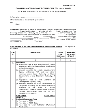Ca Report Sample PDF  Form
