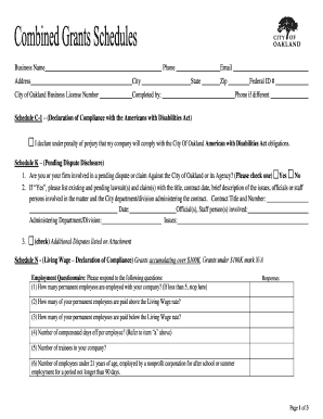 Schedule C 1 Declaration of Compliance with the Americans with Disabilities Act  Form