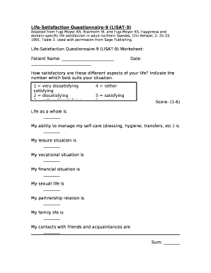 Life Satisfaction Questionnaire 11 PDF  Form