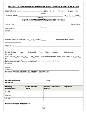 INITIAL OCCUPATIONAL THERAPY EVALUATION and CARE PLAN  Form