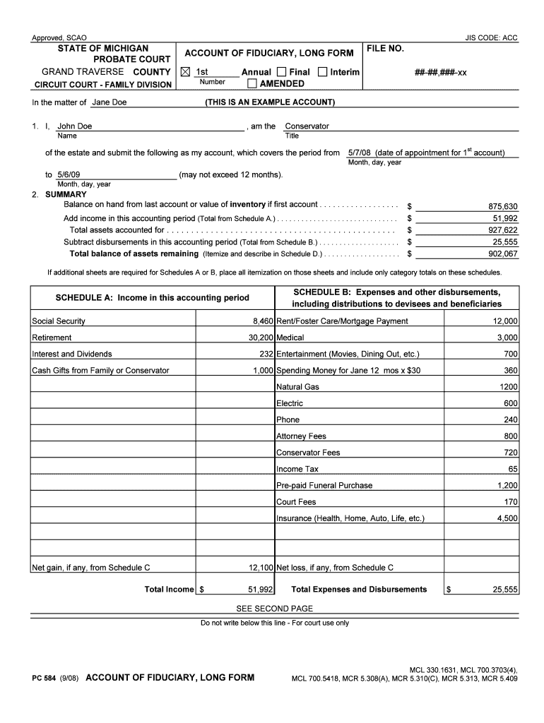  Account of Fiduciary Short Form Michigan 2011