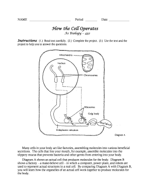 How the Cell Operates Worksheet Answers  Form