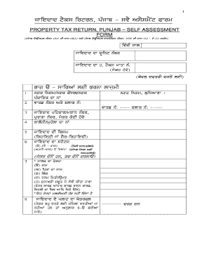 Punjab Form