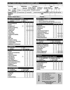 Ansa Assessment Form