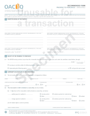 Promise to Purchase PDF  Form