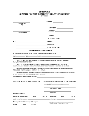 Summit County Domestic Relations Court  Form
