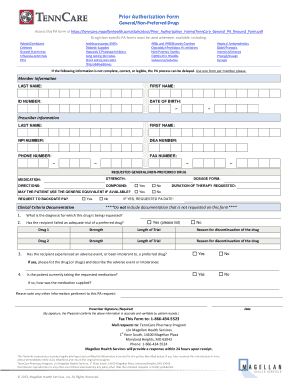 Prior Authorization Form Magellan Health Services TennCare