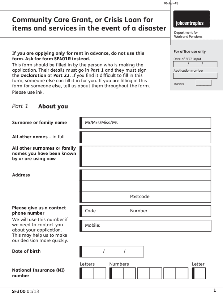  Sf300 Form 2013-2024