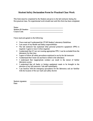 Safety Declaration Sample  Form