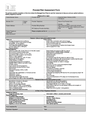 Prenatal Assessment  Form