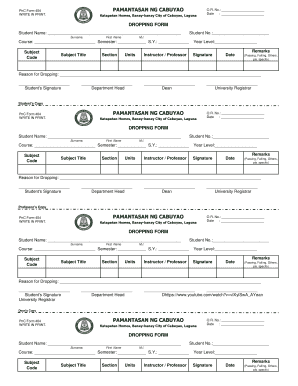 Pamantasan Ng Cabuyao Admission  Form
