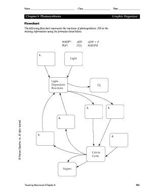 Photosynthesis Flow Chart Answer Key  Form