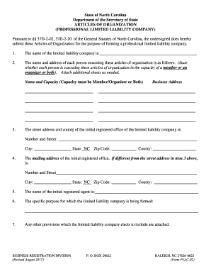 PROFESSIONAL LIMITED LIABILITY COMPANY  Form