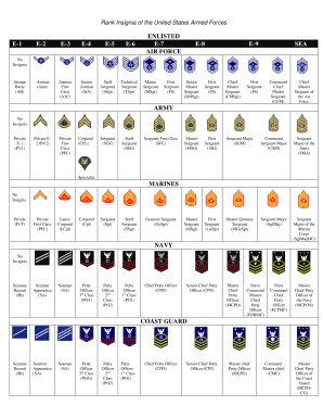 Airman Rank Insignia  Form