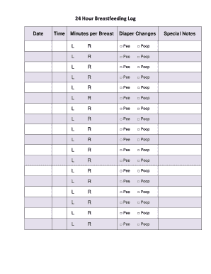 24 Hour Breastfeeding Log  Form