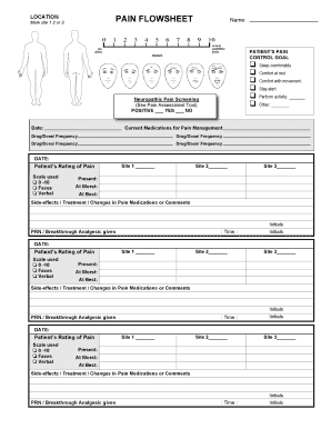 Assessment of Nociceptive Versus Neuropathic Pain in Older Adults  Form