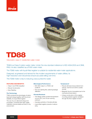Itron Td88  Form