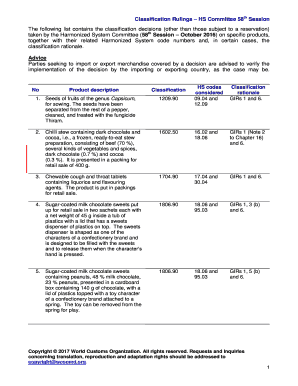 Classification Rulings HS Committee 58th Session  Form