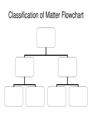 Classification of Matter Blank Flow Chart  Form