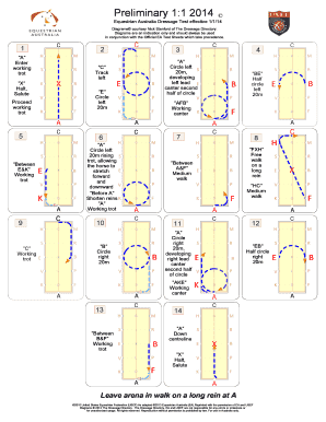 Prelim 1b Diagram  Form