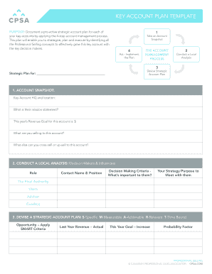 KEY ACCOUNT PLAN TEMPLATE  Form