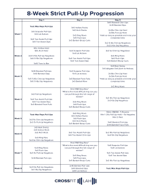 Pull Up Progression Plan  Form