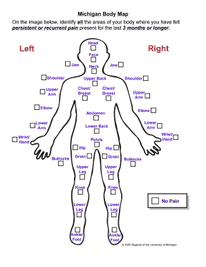 Michigan Body Map  Form