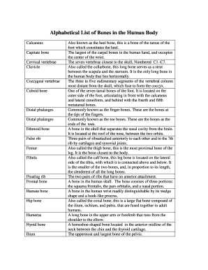 List of Human Bones Alphabetical  Form