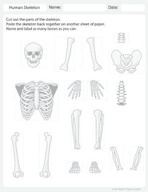 Cut Out the Parts of the Skeleton  Form