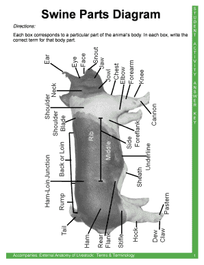 Swine Parts Diagram  Form