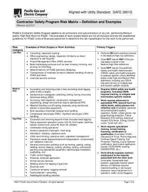 Safe 3001s  Form