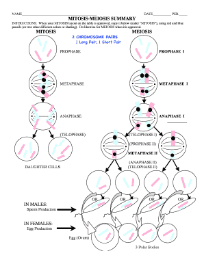 meiosis vs mitosis worksheet