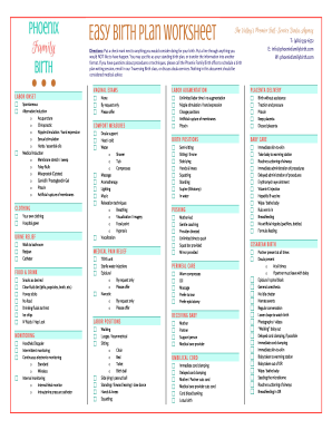 Birth Plan Template Form - Fill Out and Sign Printable PDF Template |  signNow
