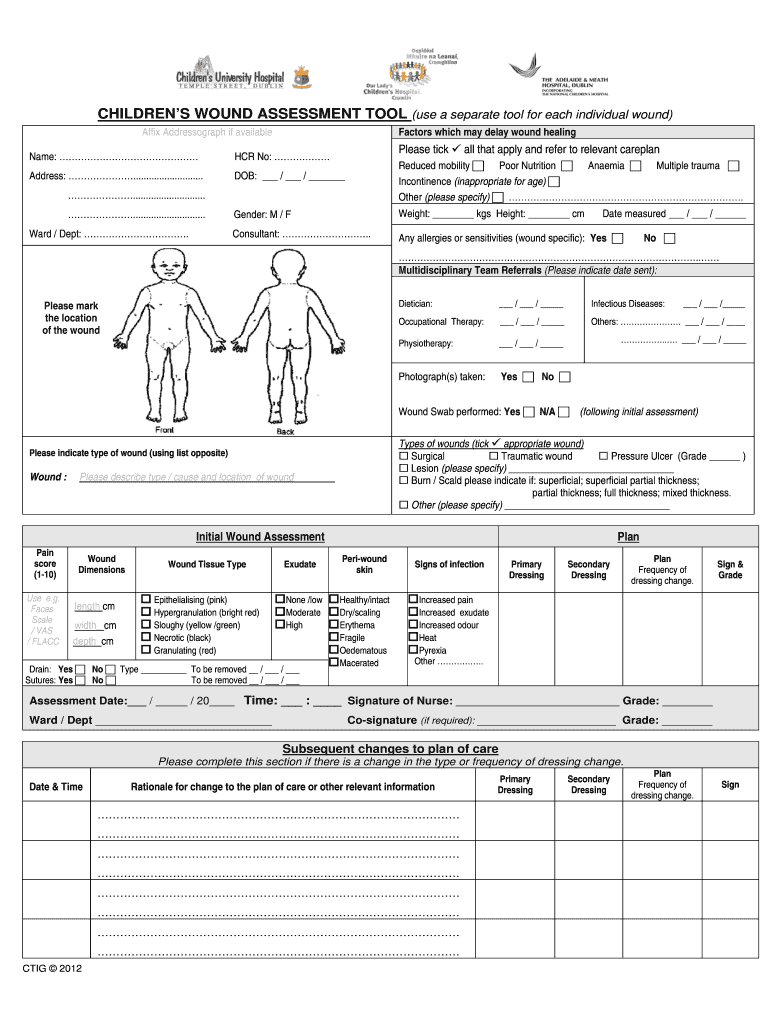 Wound Assessment Chart PDF  Form